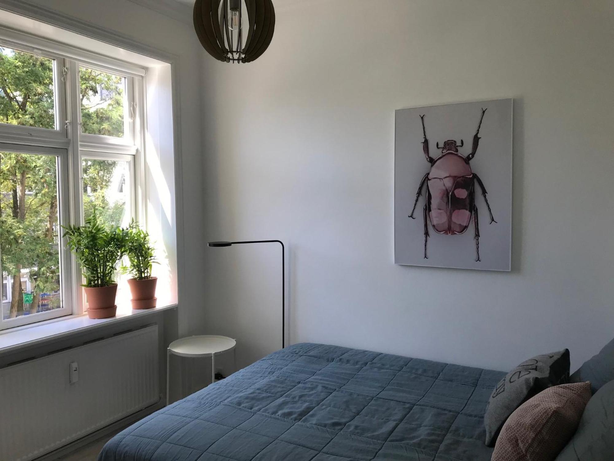 Apartment Great 1-bed In Osterbro *